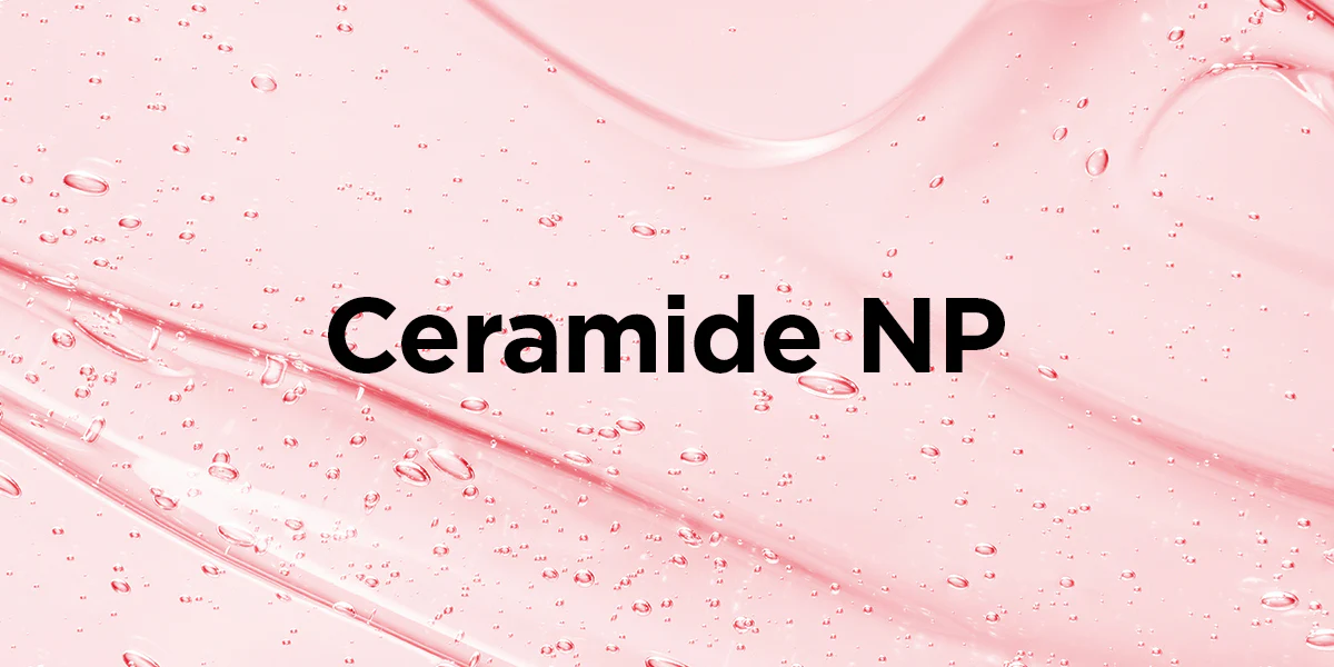 What is ceramide NP?<br><br><br>