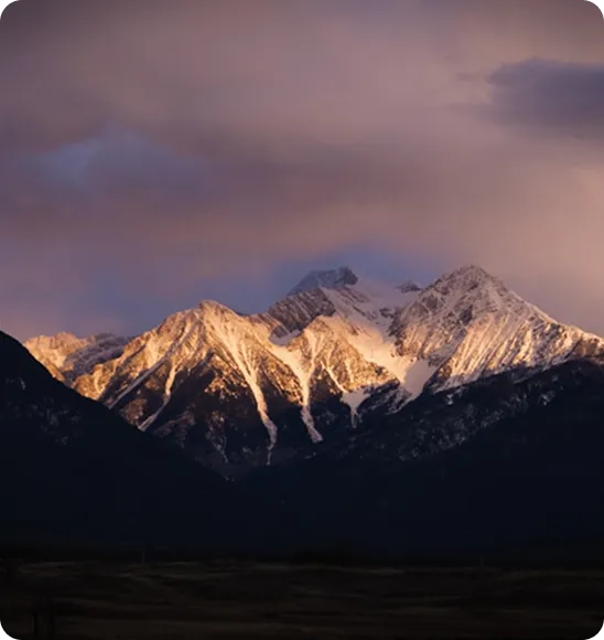 荣誉加冕· 品牌信赖