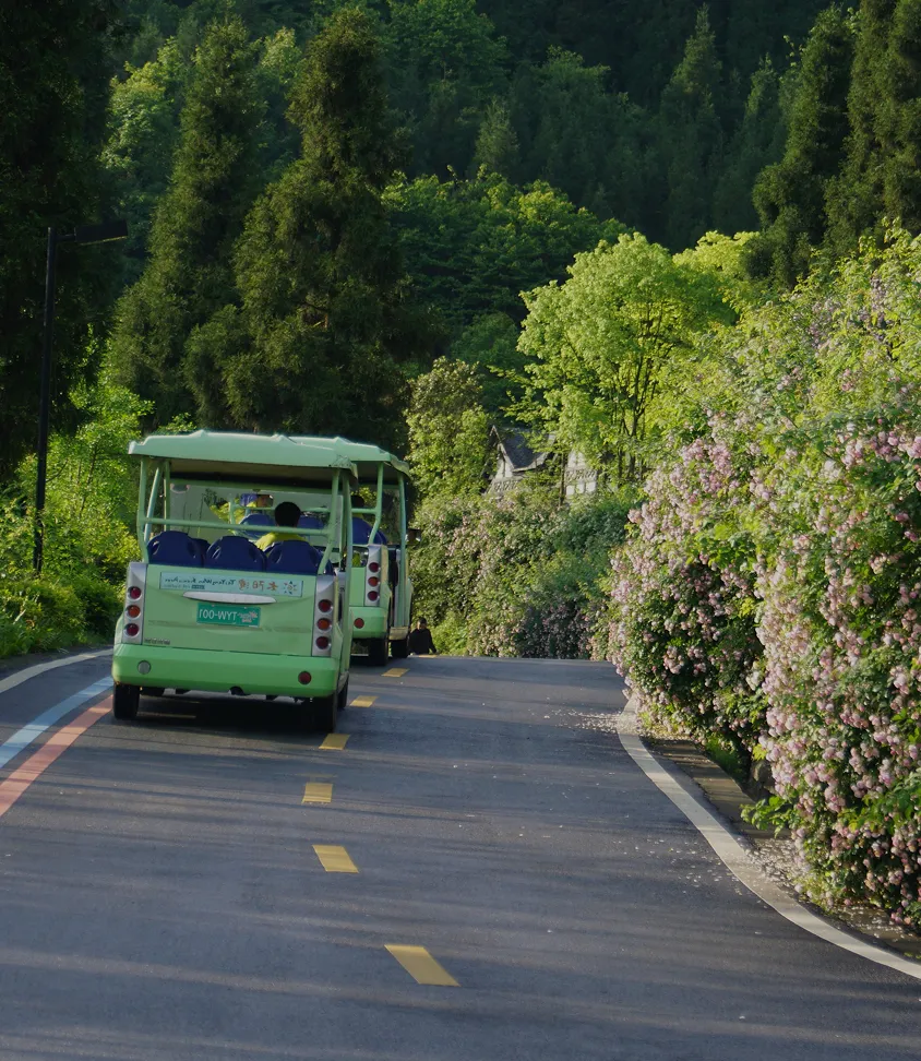 <br />
<b>Notice</b>:  Undefined index: title in <b>/www/wwwroot/baoshanglobal.com/taiyangwan.php</b> on line <b>243</b><br />
