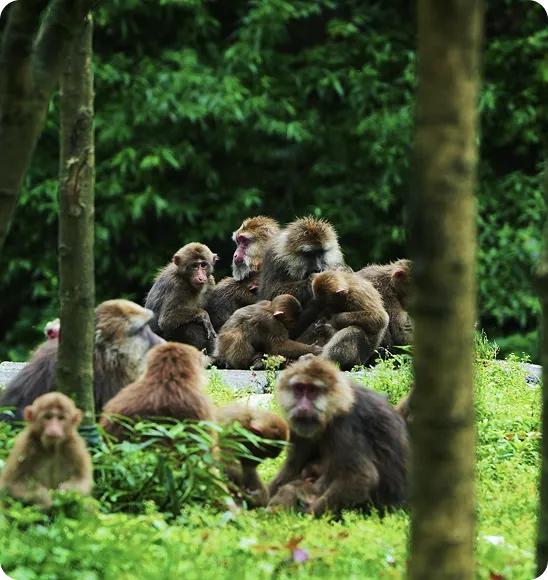 野生动物栖息地