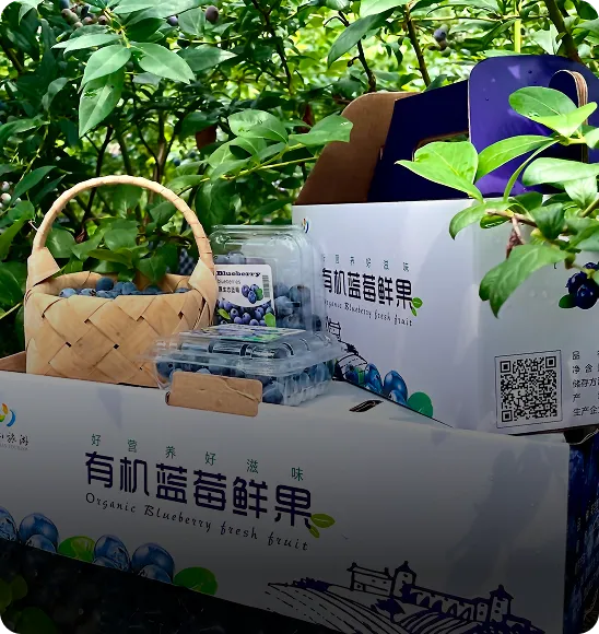 蓝莓园