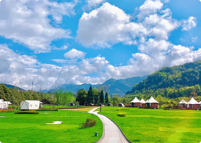 <span>Green Starry <br></span>Night Tent Hotel