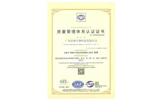 质量管理体系认证证书