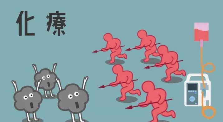 图片13.png