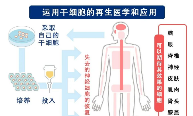 图片144.png