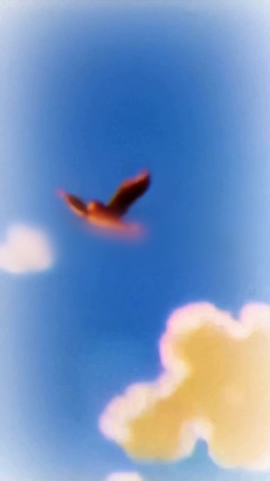 10.10-副本-副本-副本-副本(7).jpg 10.10-副本-副本-副本-副本(7).jpg