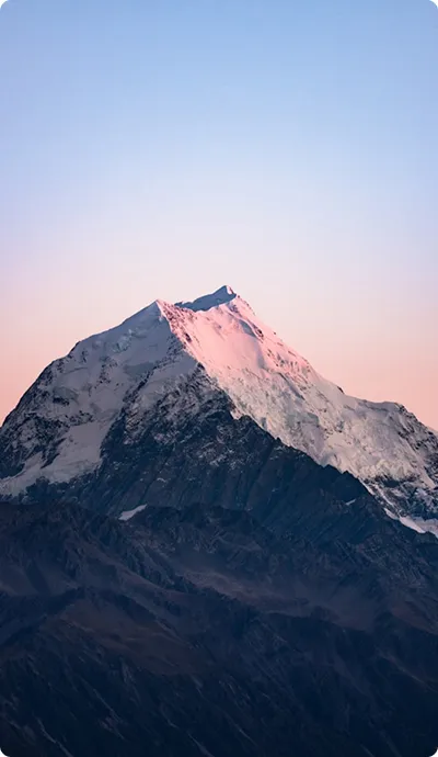 愿景