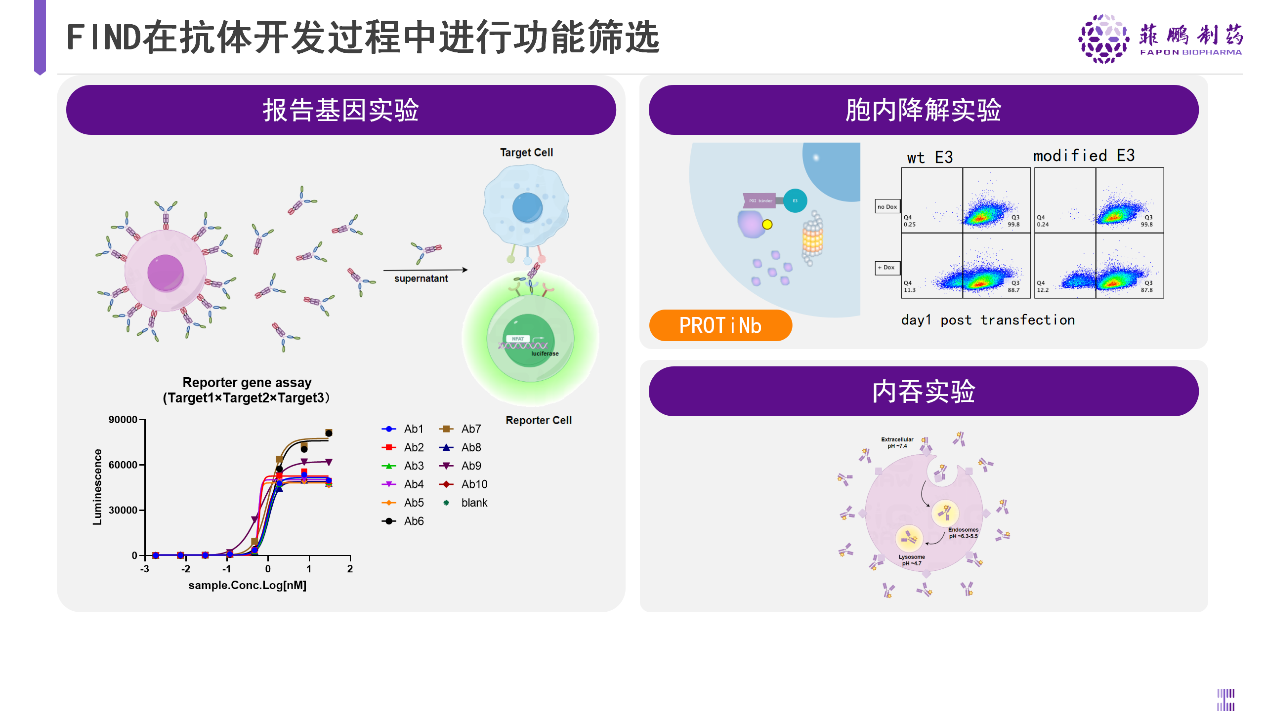 4.多功能分子开发.png