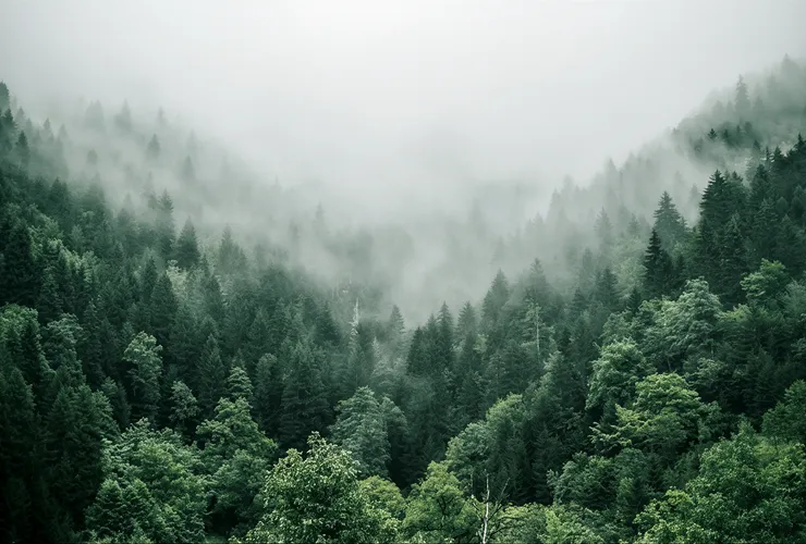 Driving the futureof sustainable development