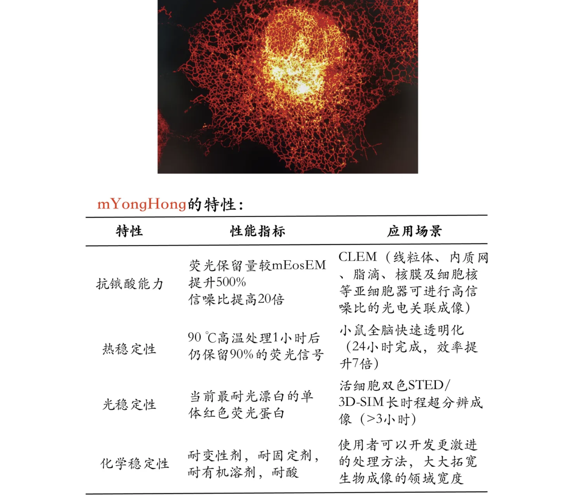 革命性报告小鼠品系Ci16发布|全面超越Ai14的新一代Cre报告系统