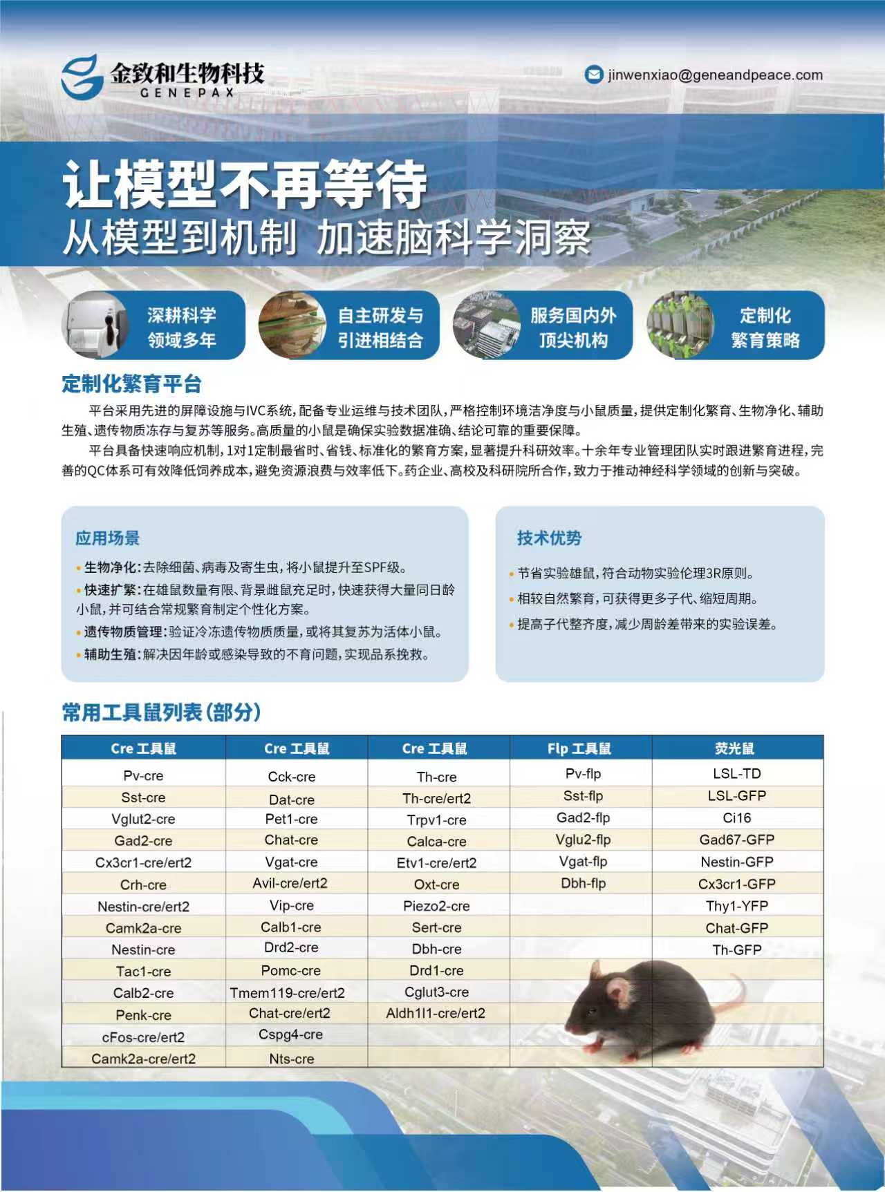 常用工具鼠列表