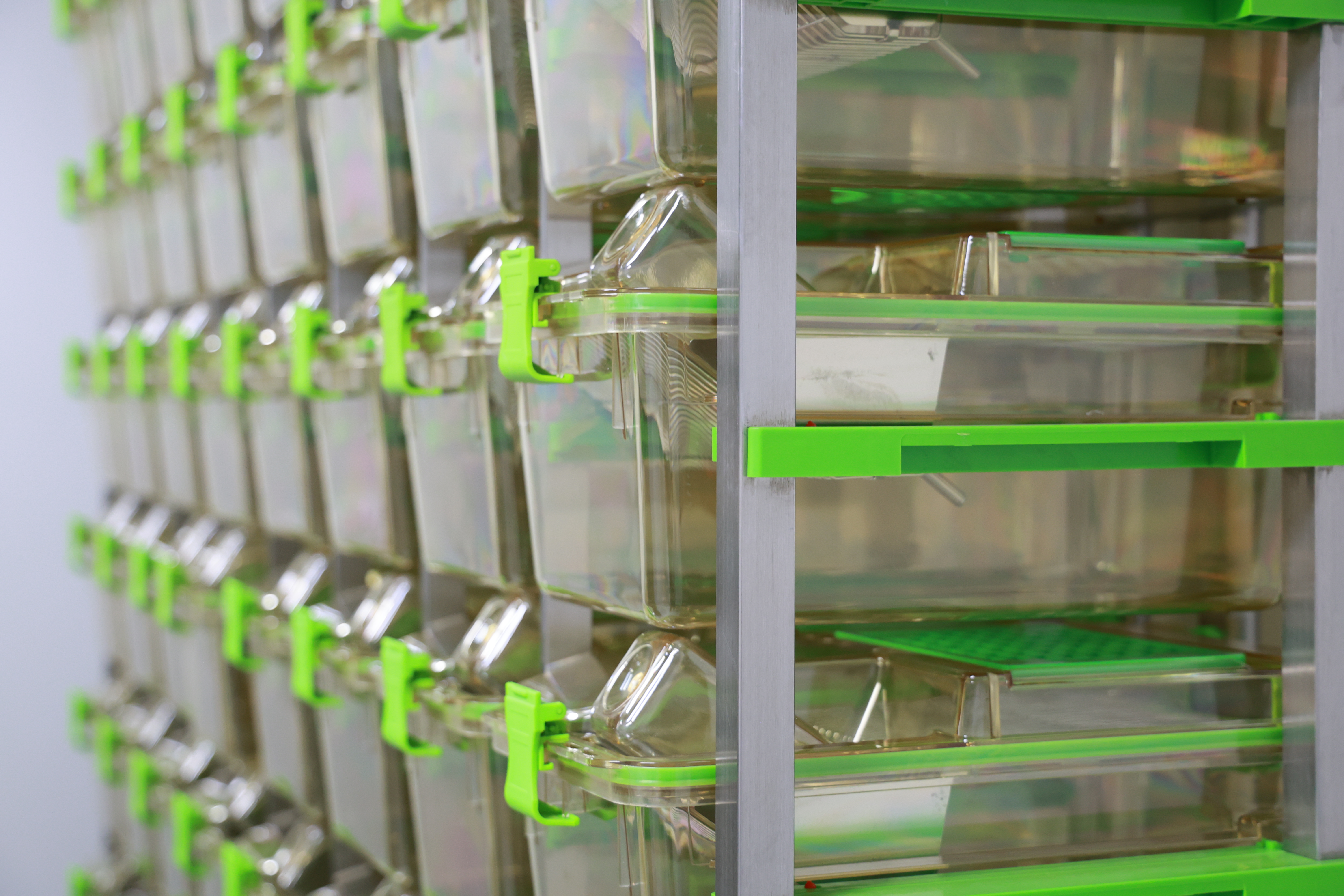 定制化繁育平台