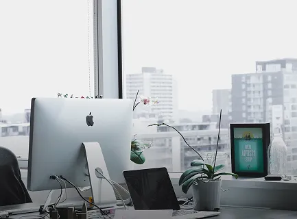 Intellectual Property Disputes