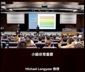 被低估的“总裁脑”：小脑如何影响你的一生