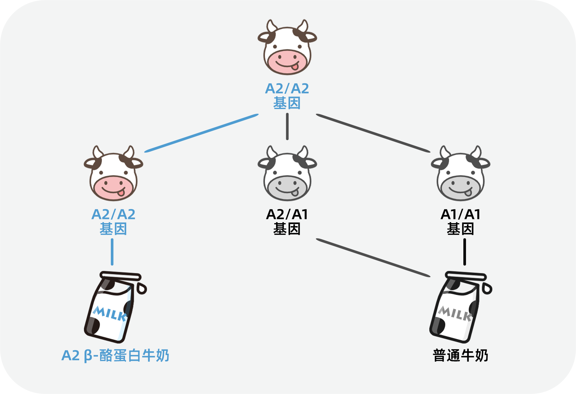你知道吗？