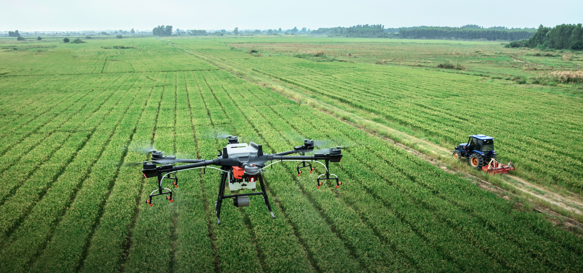 合作的大型机场