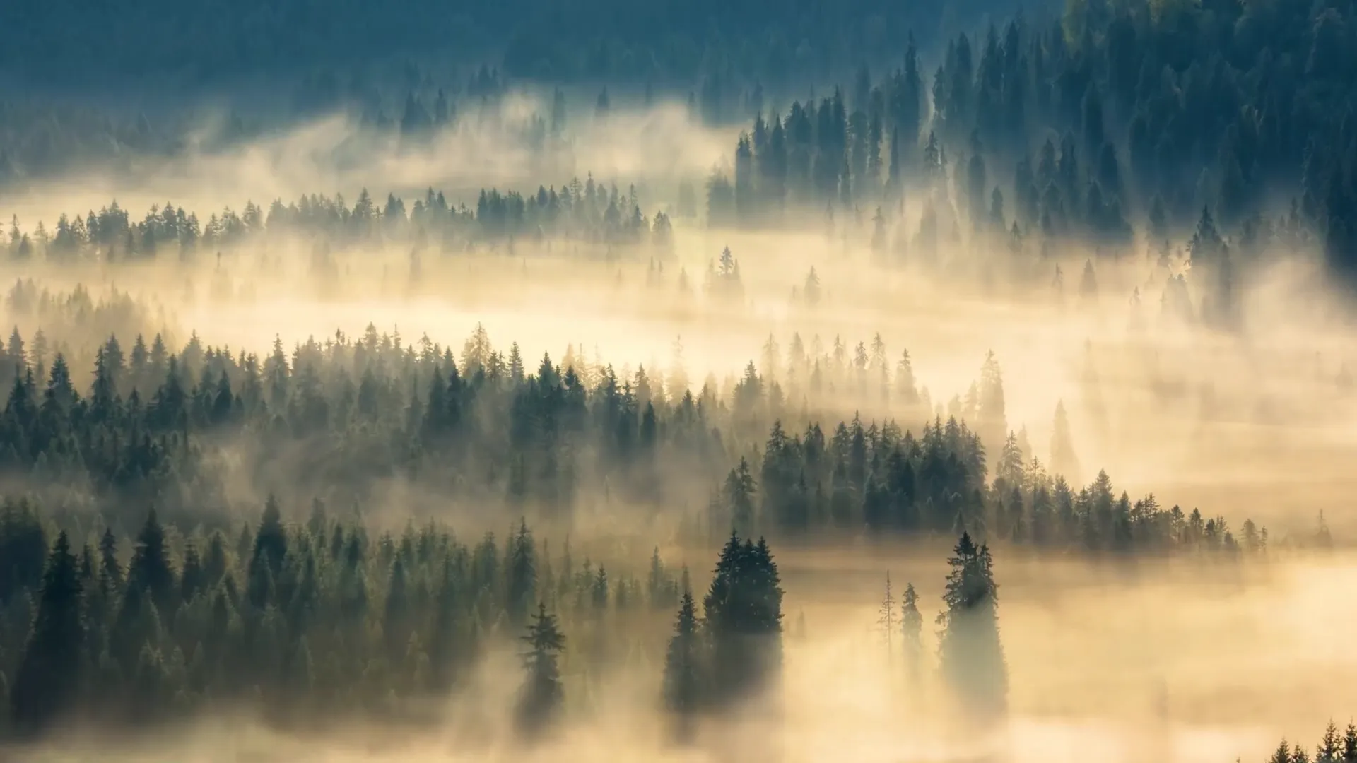 美勒森企业宣传片