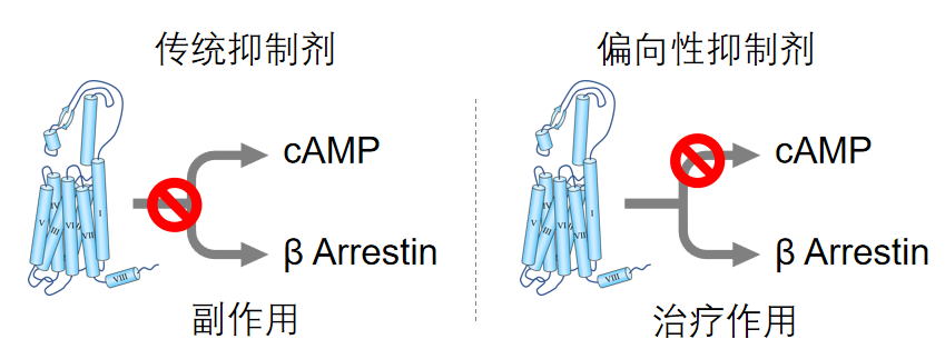 640 (1).png