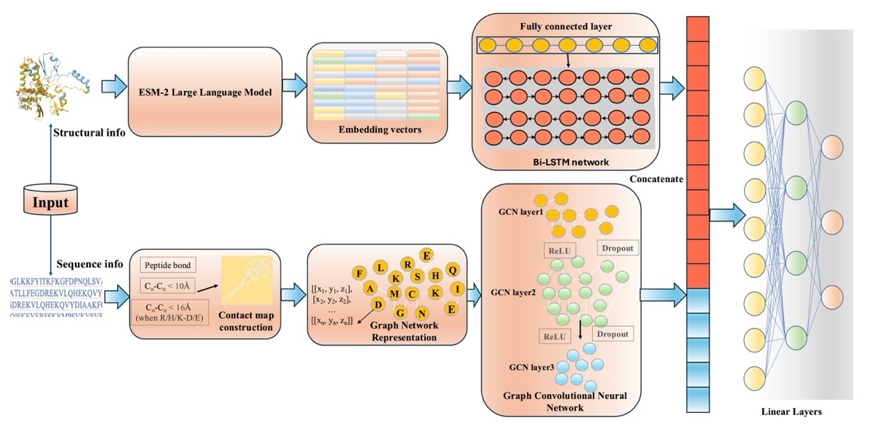 undefined 图片1.jpg