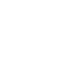 Ins