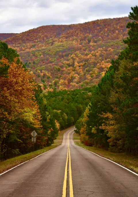 Seu roteiro é 100% adaptável