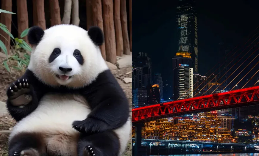 Pandas e cyberpunk