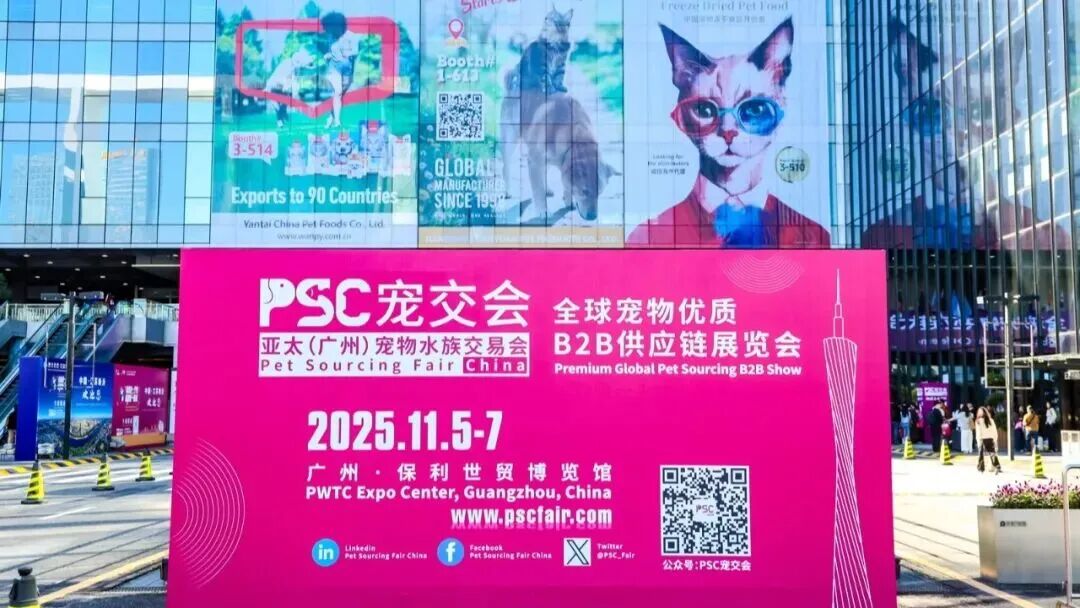 Chinese-Style Freeze-Dried Treats Go Global – Ranova Shines at PSC