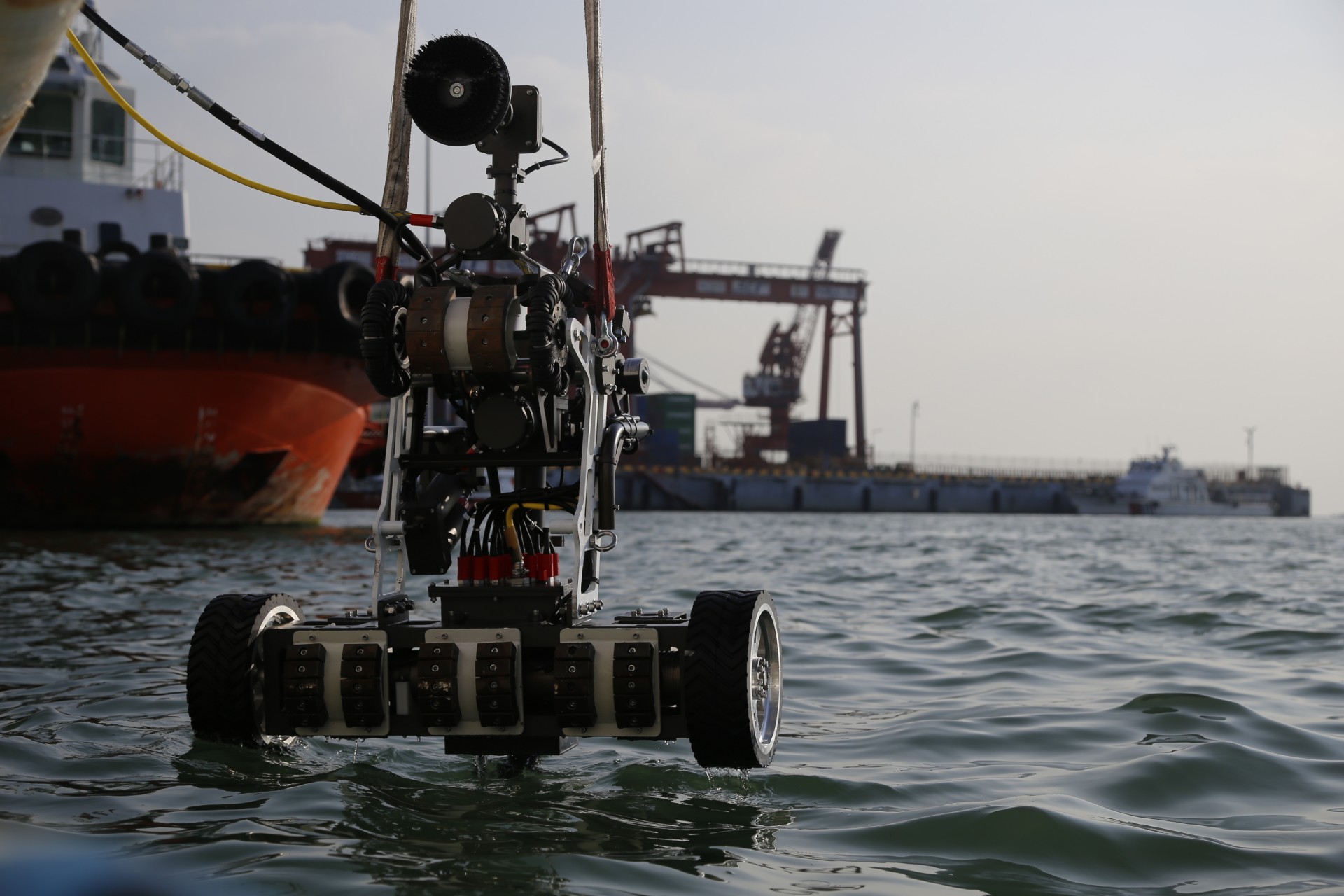 Hull Cleaning and Inspection Robot