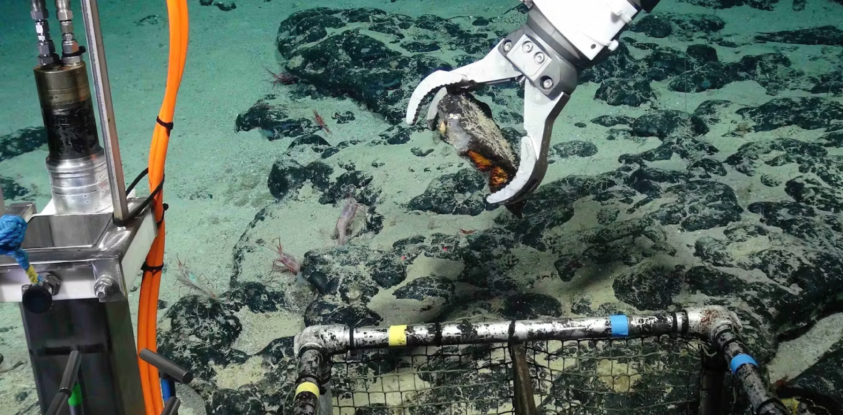 Deep Sea Mining