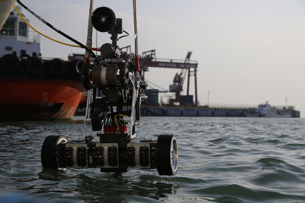 Hull Cleaning and Inspection Robot