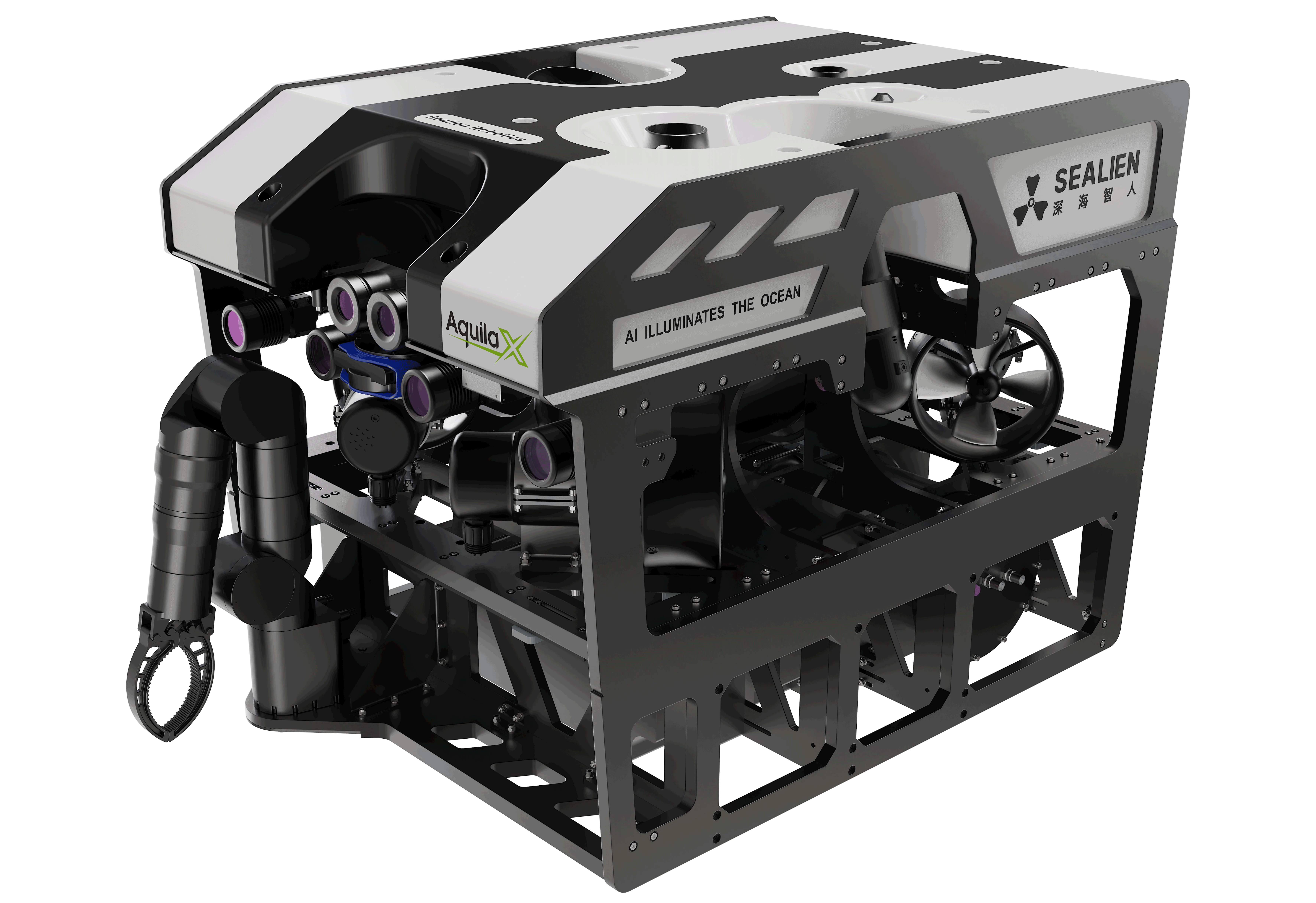 Inspection ROV