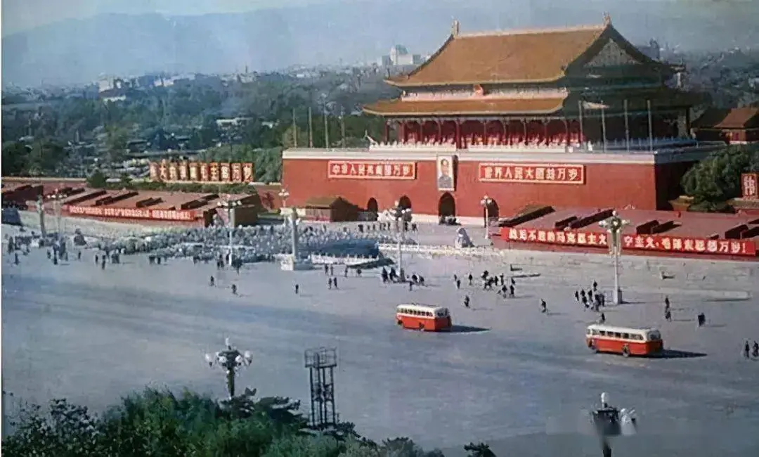 1981