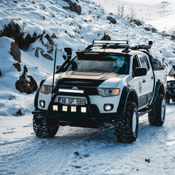 VIP  Transit  Protection