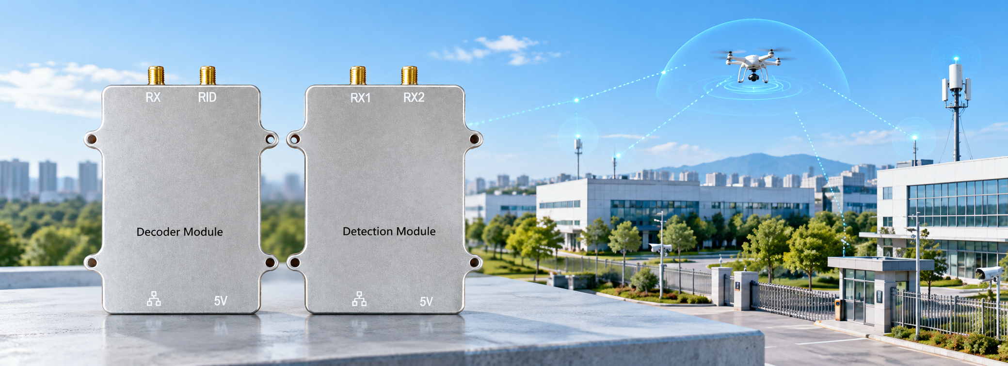 Detection Module