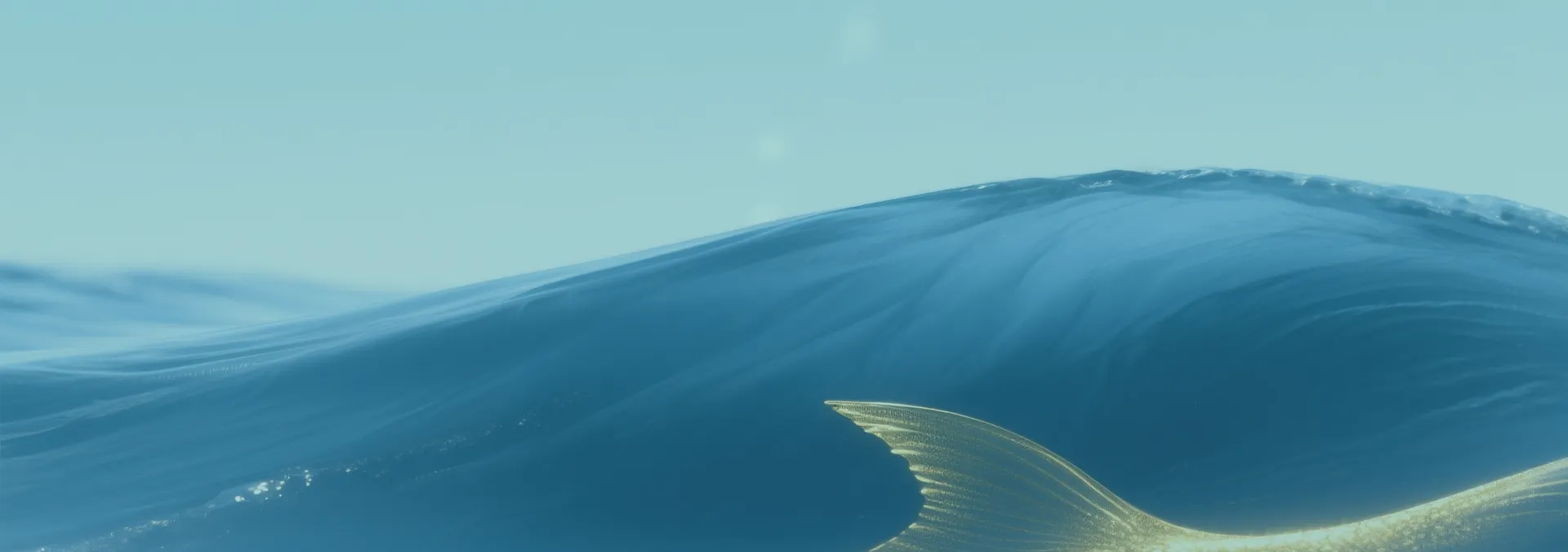 基于庄子“乘物游心”理念，以“水中神物”为等级