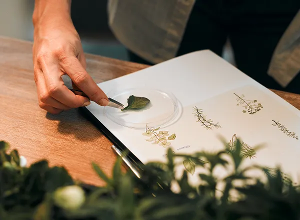 自然律动 · 焕活课程