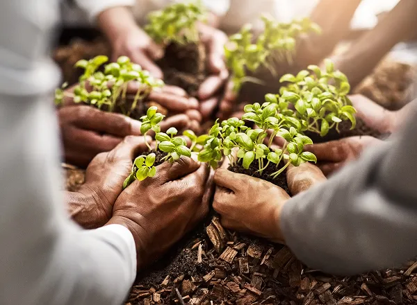 无界漫游 · 社群聚场