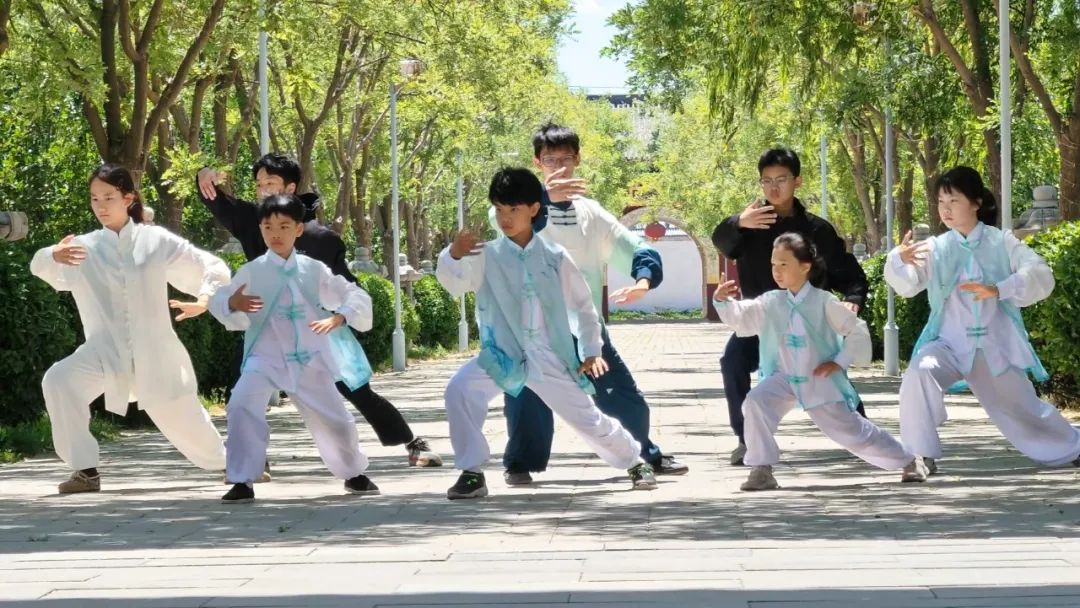 天真文武少年夏令营正在招募中！青春本应如太极：柔而韧，静而涌，在动静平衡中生生不息
