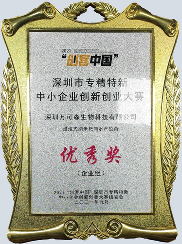 专精特新大赛证书