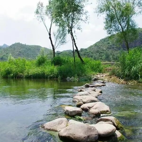 格格