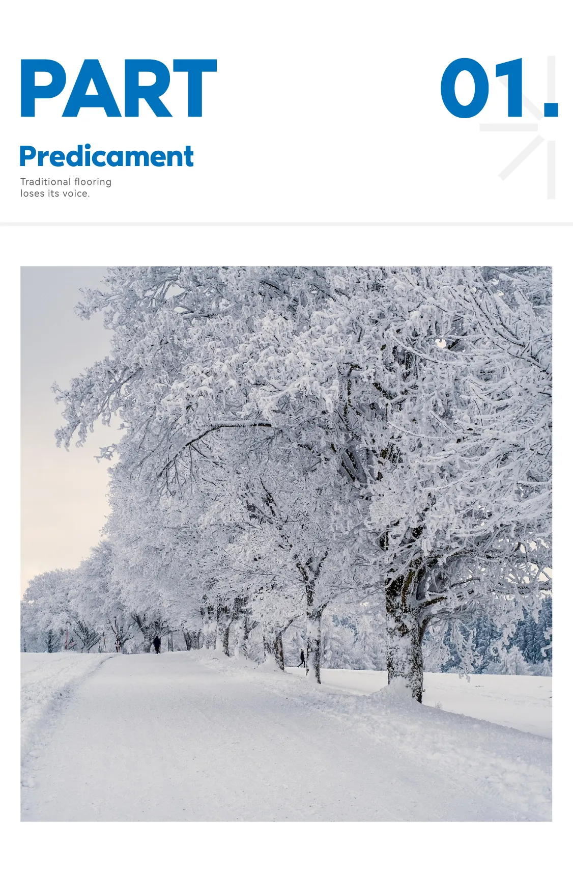 公众号260130_画板 3-02.jpg 公众号260130_画板 3-02.jpg