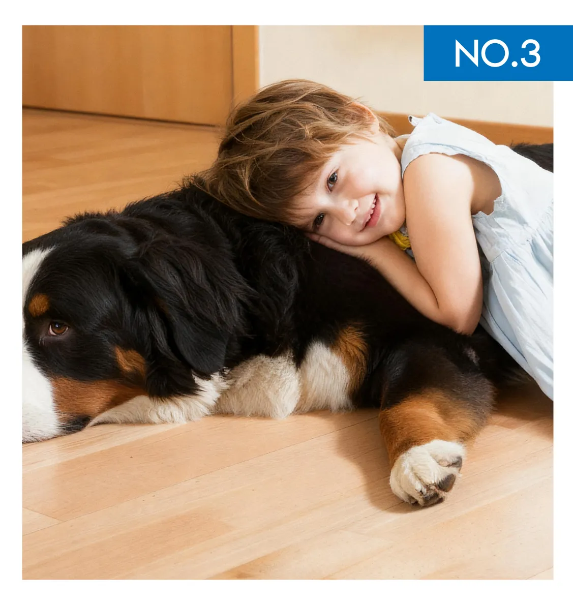 公众号260130-07.jpg 公众号260130-07.jpg