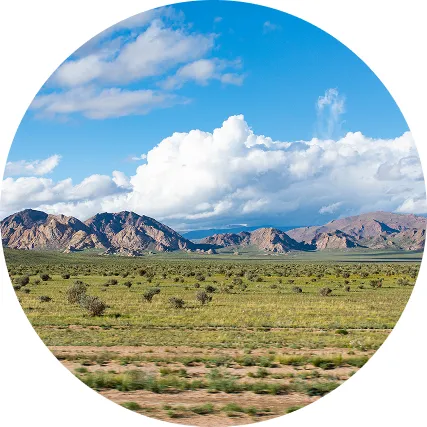 Deep Local Expertise, Nationwide Reach