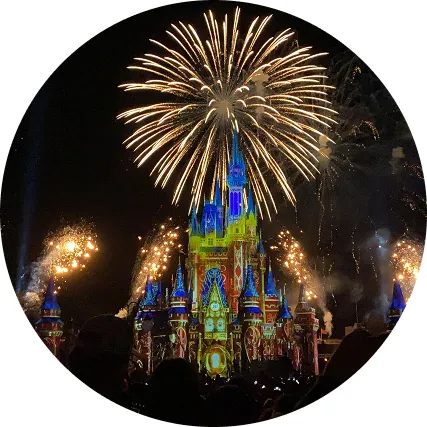 Flexible, Solutions-Oriented Execution