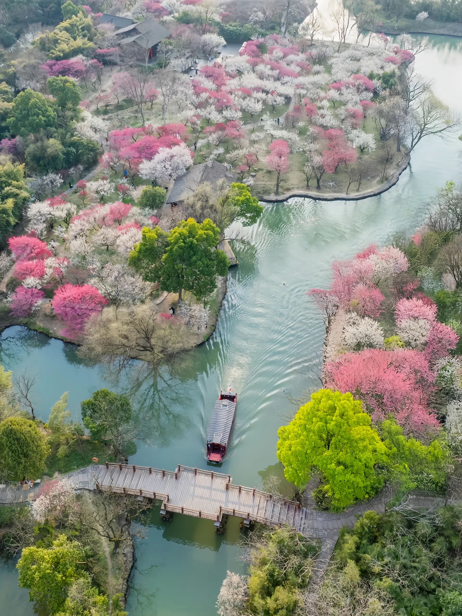Hang Zhou