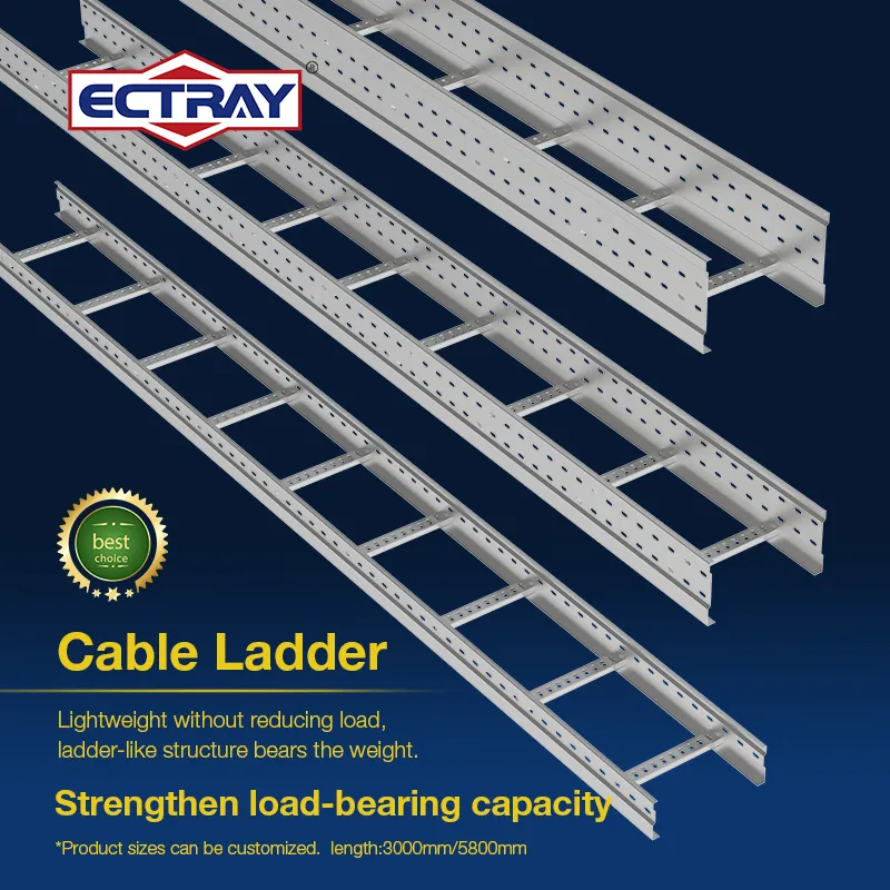 Heavy-Duty Structure & High Load Capacity