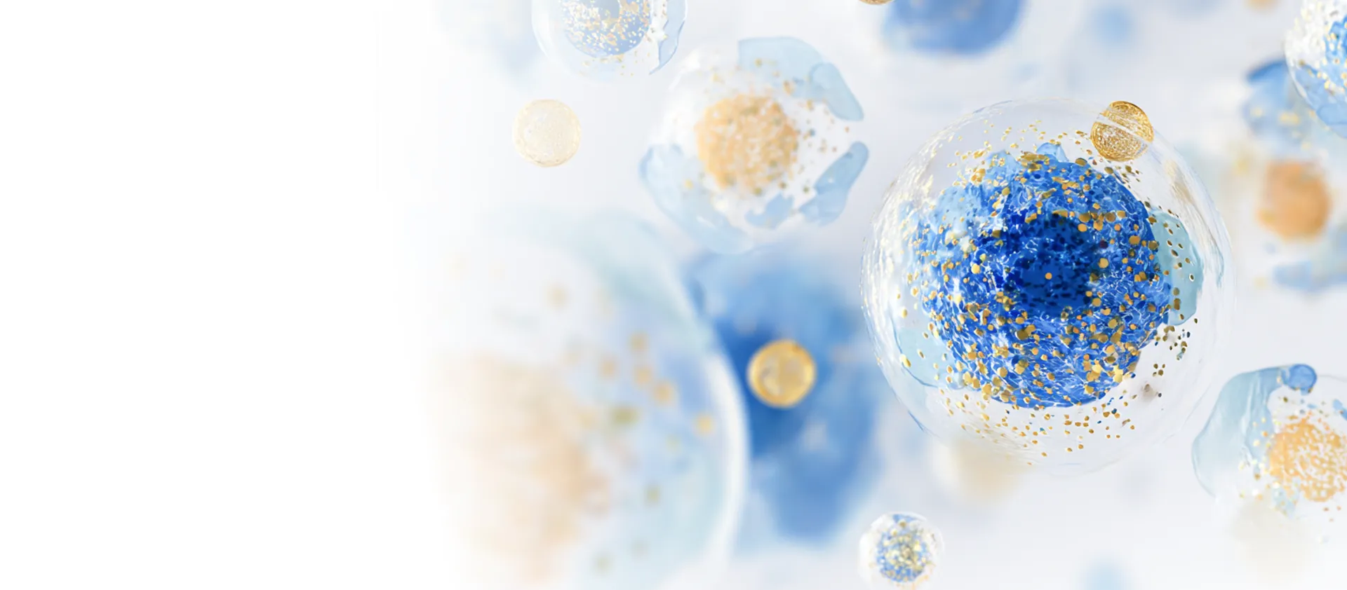 Technology Platforms