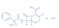 Rapid Onset Against both Gram-Positive and Gram-Negative Bacteria