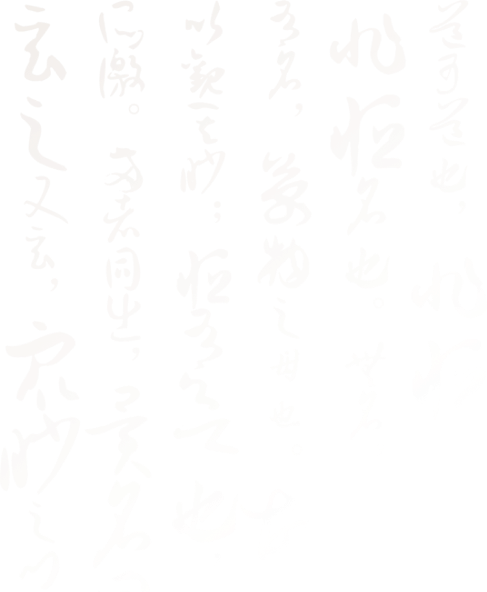 发展历程