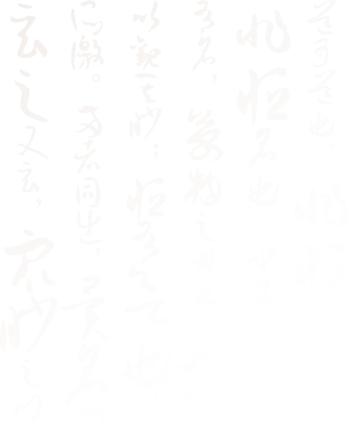 发展历程